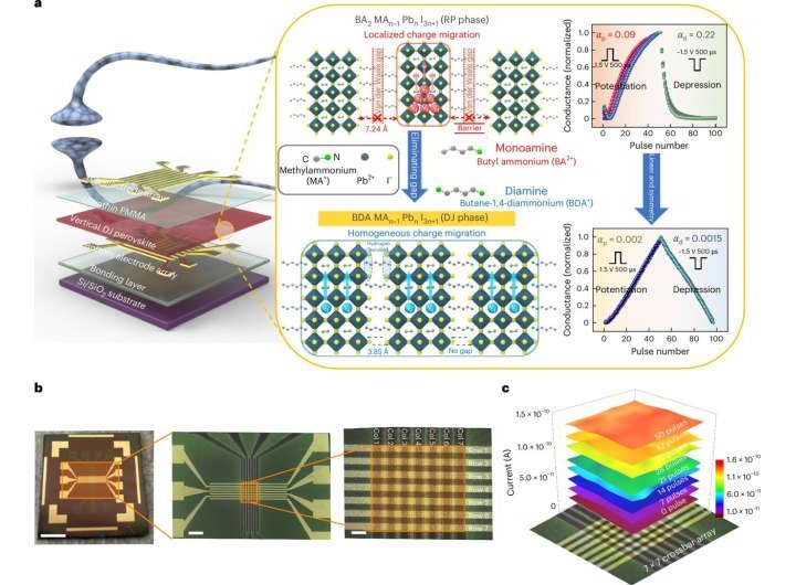 Ultra-low power neuromorphic hardware show promise for energy-efficient AI computation