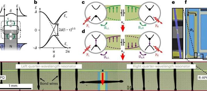 Physicists achieve strong coupling of Andreev qubits via microwave resonator