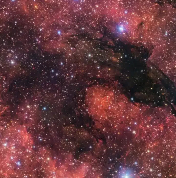 Astronomers Have Captured a Bizarre Black “Wolf Face” in the Sky — And It Isn’t Fiction