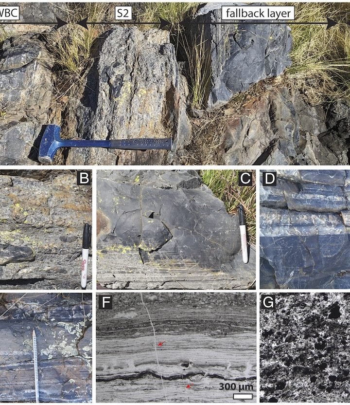 A Giant Meteorite Impact 3.26 Billion Years Ago Helped Push Life Forward