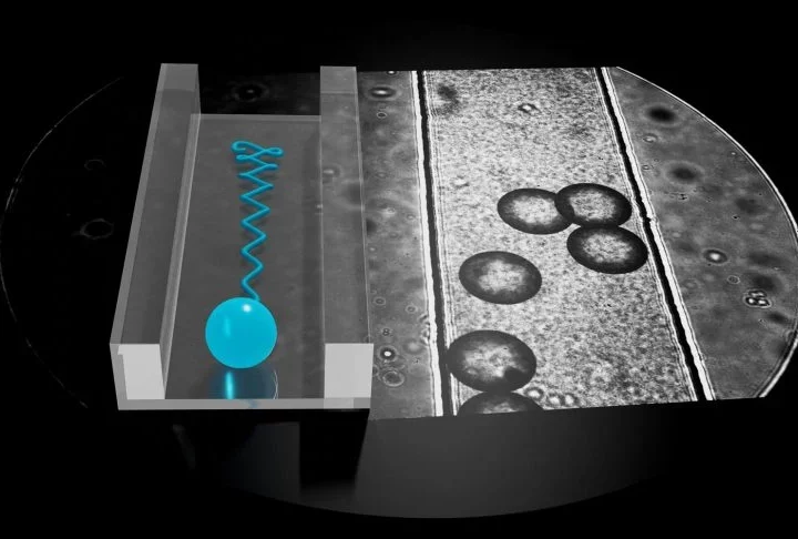 Revolutionizing Medicine: How Electric Currents Guide Microswimmers Through Microscopic Mazes