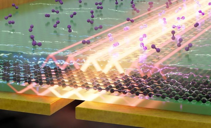 How Exotic Light and 2D Materials Are Redefining Molecular Science