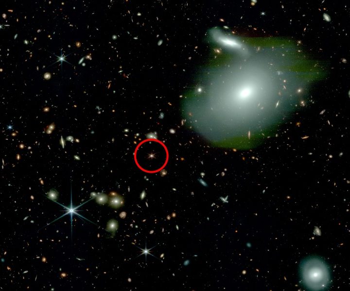 Why are Some Quasars So Lonely?