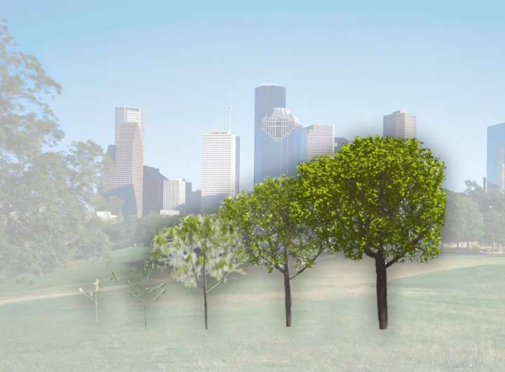 AI and genus-conditioned algorithms create precise simulation-ready models of 600,000 existing urban trees