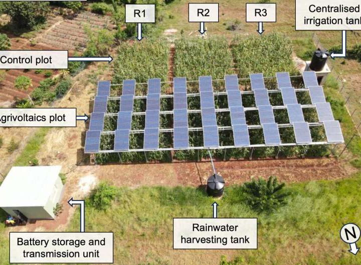 Agrivoltaics for sustainable food, energy and water management in East Africa