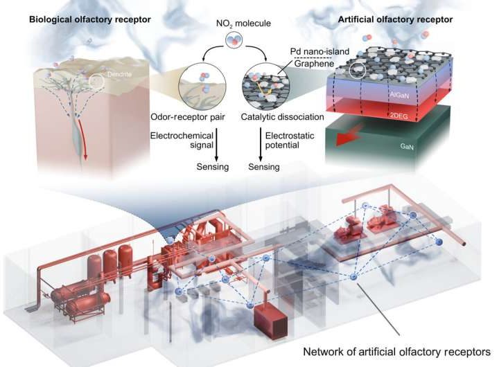 AI-powered system detects toxic gases with speed and precision