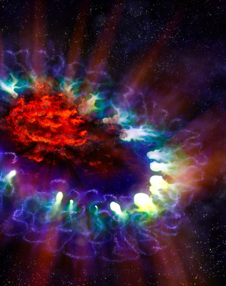 Learning More About Supernovae Through Stardust