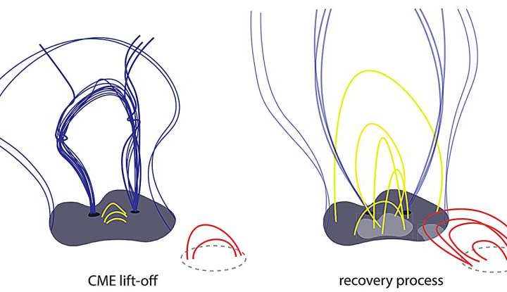 How the sun heals after plasma eruption: New findings on coronal dimmings