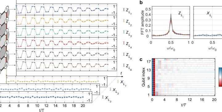 Implementing topologically ordered time crystals on quantum processors