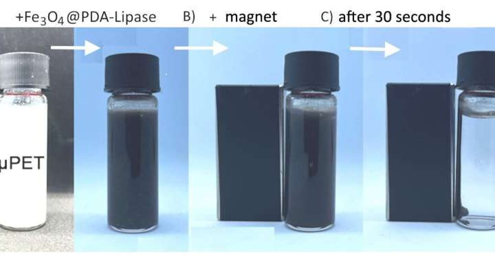 Low-cost method removes micro- and nanoplastics from water