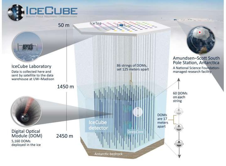 More comprehensive search for sterile neutrinos comes up empty