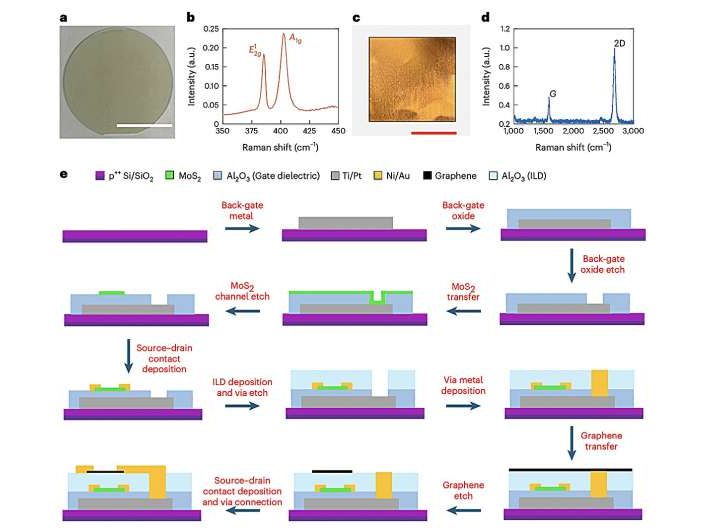 Creating compact near-sensor computing chips via 3D integration of 2D materials