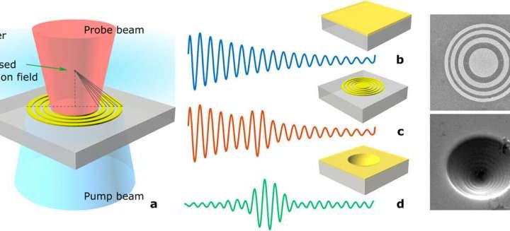 Improved ultrasound technique produces previously unattainable images inside live cells