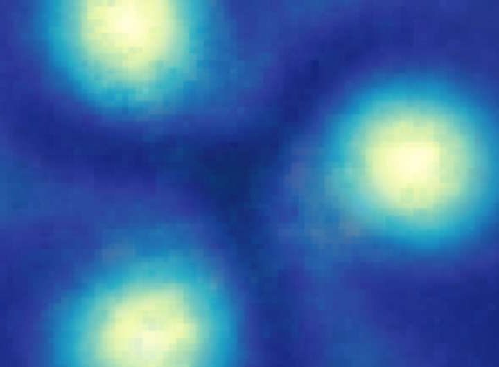 Quantum vortices confirm superfluidity in supersolid