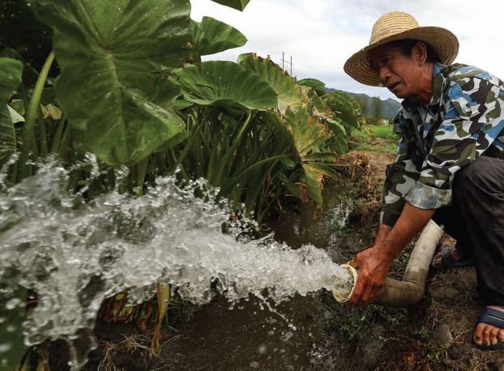 Researchers call for harnessing agrifood value chains to help farmers be climate-smart