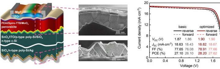 Researchers develop highly passivated TOPCon bottom cells for perovskite/silicon tandem solar cells