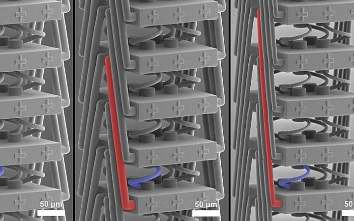 Mechanical metamaterial enables long-distance component interaction for unique stretching properties