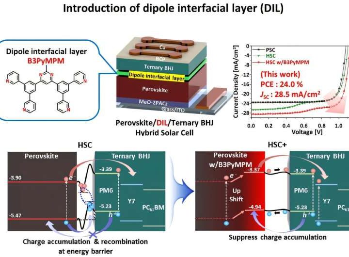 Next-generation perovskite solar cell can absorb near-infrared light beyond the existing visible light range