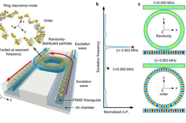 Ring resonators unlock new abilities in acoustic tweezers