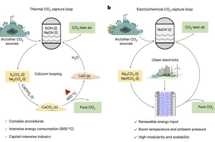 One-step electrochemical regeneration of CO₂ from (bi)carbonates enhances carbon capture efficiency