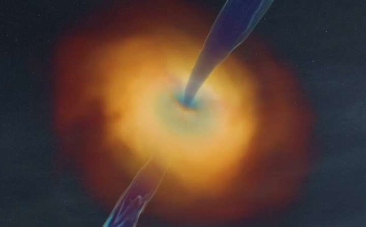 Simulations reveal black holes inherit magnetic fields from parent stars