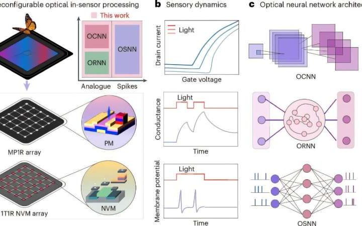 Engineers develop device that merges sensing and computing functions for reconfigurable computing platform