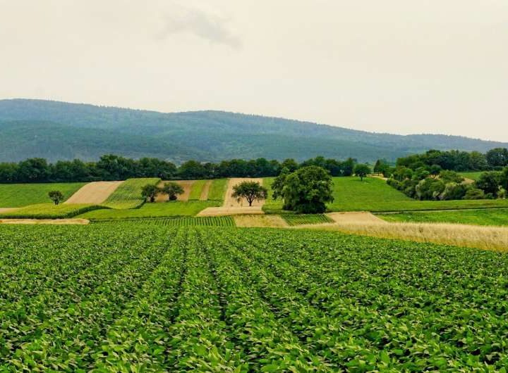 Prototype device produces critical fertilizer ingredient from thin air, cutting carbon emissions