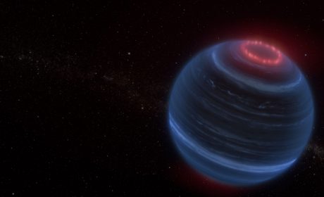 What Makes Brown Dwarfs So Weird?