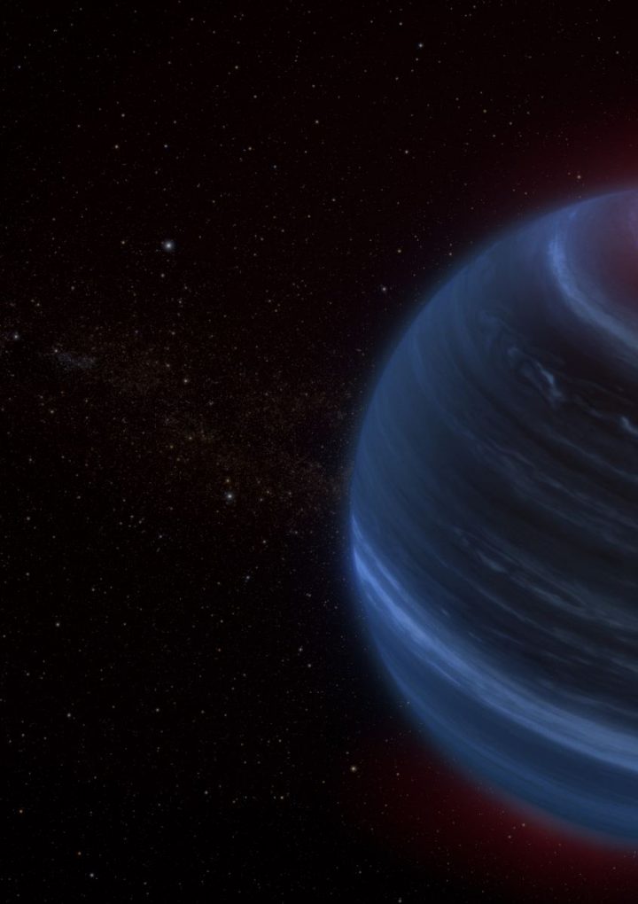 What Makes Brown Dwarfs So Weird?