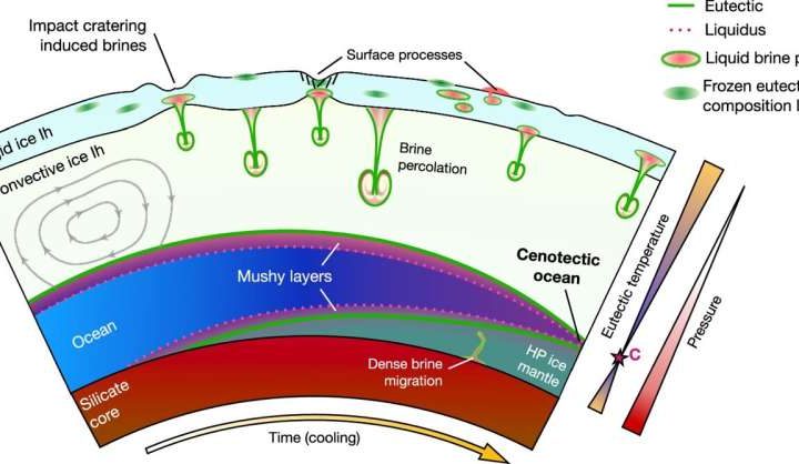 Cenotectic concept redefines search for life on icy worlds