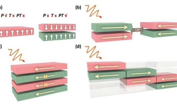 Nonlinear ‘skin effect’ unveiled in antiferromagnetic materials