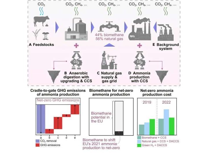 Ammonia production goes green: Biomethane approach offers net-zero emissions