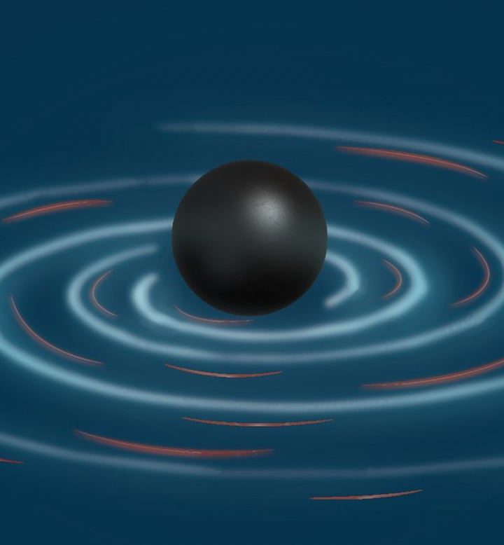 Quantum Correlations Could Solve the Black Hole Information Paradox