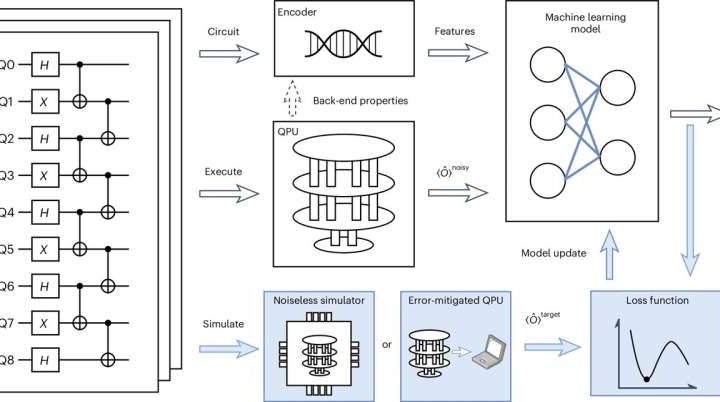 Simple machine learning techniques can cut costs for quantum error mitigation while maintaining accuracy