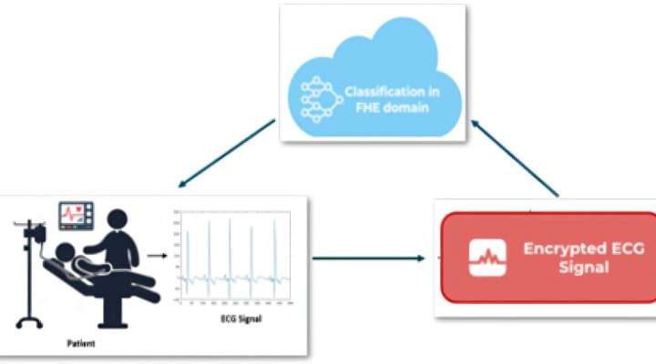 Study: New method of privacy enhancement for AI-powered medical data