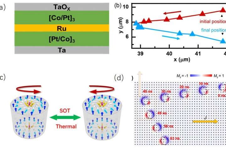 Tuning skyrmion helicity for racetrack memory and quantum computing applications